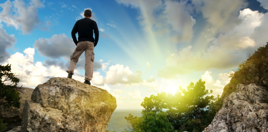 Suspendisse arcu nisl